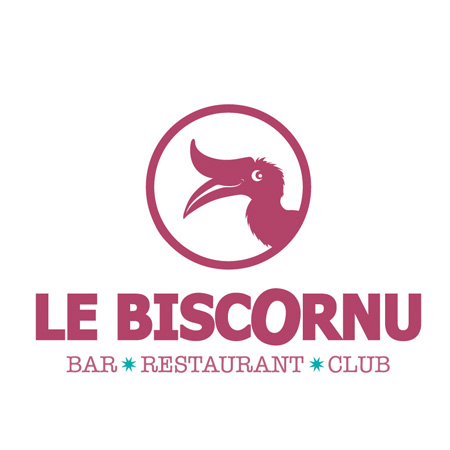 logo-biscornu-ok